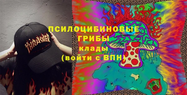 дживик Бронницы