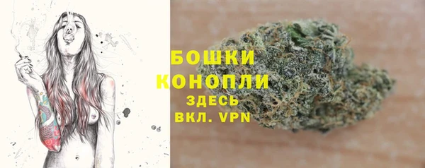 дживик Бронницы