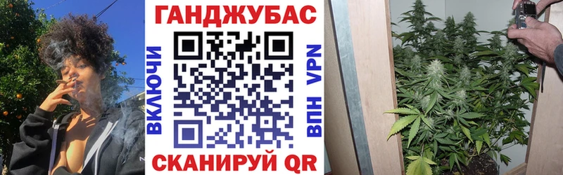OMG как войти Горячий Ключ Бошки марихуана план
